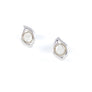 Xtinctio - Earirings -Sterling silver Leaf Earrings and Moonstone representing your commitment to protecting these critically endangered environment and their habitats. Xtinctio - For The Survival Of The Species