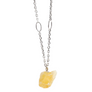 Xtinctio - Necklace This Silver Necklace is Imbued with the spirit of the endangered Species and serves as a constant reminder that in this age of extinction, we are all connected to every living thing.