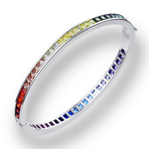 This Rainbow Bangle made in 925 sterling Silver and zirconia emerald cut stones.  Each colour stone represents an endangered species we are partnering to protect creating a rainbow of enduring hope (Black for Rhino, White for Polar Bear, Red/orange for Orangutan, Blue for the Whales, Aqua for the Ocean, Yellow for the tiger, Green for the Rainforest).  50% of all profits are donated to organisations that protect endangered species and their habitats.